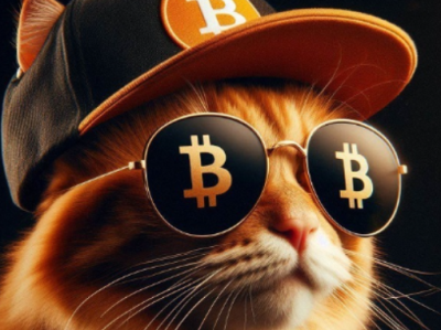 为何比特币启用OP CAT面临挑战?深入分析区块链